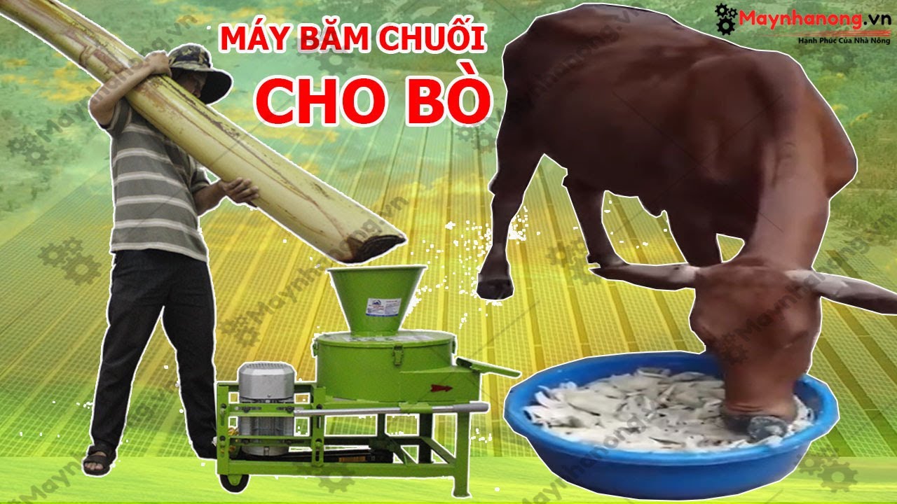 Máy băm thái chuối Okasu TK 2019 đa năng chất lượng